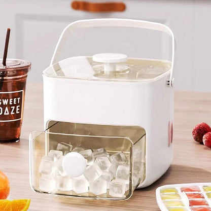 Double Layer Ice Box